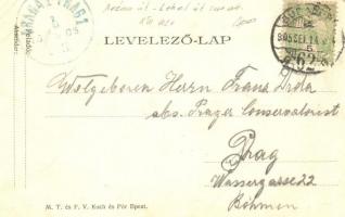 1905 Budapest XIII. Aréna út (Dózsa György út) és Lehel út sarok, Caffe Margit kávéház, Hirschler Sa...