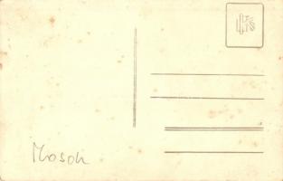 Moson, Reichard Mór üzlete, Kühne gépgyár üzlete, lovas fogat, photo (fl)