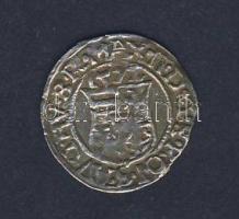 1572KB Denár Ag Miksa T:2/3