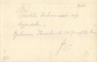 1917 Bukowina Volktypen / Bukovina folklore, traditional costumes, photo (non PC) (EK)