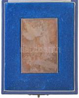 DN "Stephanus Rex" Szent István király portréját ábrázoló, jelzetlen Ag emlékplakett, ered...