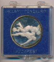 1978. "Argentína - Labdarúgó Világbajnokság" jelzetlen Ag emlékérem eredeti, sérült ÁPV plasztiktokban (16,06g/32mm) T:PP ujjlenyomat, fo., patina