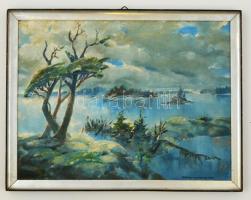 Magyar jelzéssel: Tóvidék. Olaj, karton, keretben, 30×40 cm