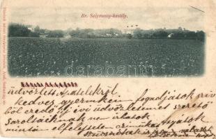 Borosjenő, Ineu; Báró Solymossy kastély, Honisch udvari fényképész felvétele / castle (EK)