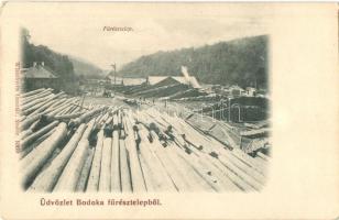 Bodóka, Bodovka; Neuschloss Károly és fia fűrésztelepe. Wlaszlovits Gusztáv / saw mill