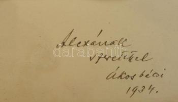 1934 Navratil Ákos (1875-1952) közgazdász portréja, Székely Aladár budapesti műterméből, Navratil de...