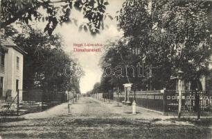 Dunaharaszti, Hegyi Lajos utca