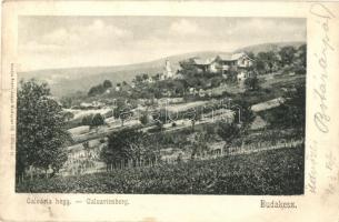 Budakeszi, Kálvária hegy, szőlő ültetvény