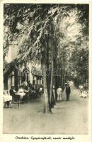 Gyopárosfürdő (Orosháza); Vasúti vendéglő