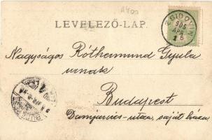 1905 Zsidovin, Berzovia; utcakép üzlettel és kutyával / street view with shop and dog, photo