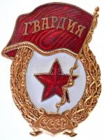 Szovjetunió ~1960-1970. Szovjet Gárda jelvény aranyozott, zománcozott fém jelvény csavaros hátlappal (2x) (48x36mm) T:1-,2 Soviet Union ~1960-1970. Badge of the Soviet Guards gilt, enamelled metal badge with screw back (2x) (48x36mm) C:AU,XF