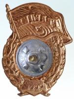 Szovjetunió ~1960-1970. "Szovjet Gárda jelvény" aranyozott, zománcozott fém jelvény csavar...