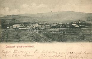 Tótpelsőc, Pliesovce; látkép / panorama view