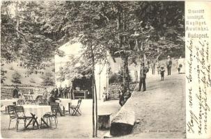 Budapest XII. Zugliget, Disznófő vendéglő, Divald Károly 482. sz. (EK)