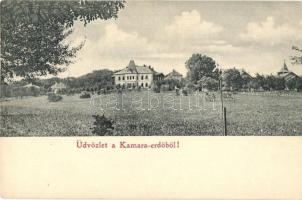 Budapest XI. Kamaraerdő, Villa Mártha (EK)