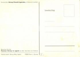 Agárd, Sárosy Panzió főépülete, Magyaros étterem, belső (EK)