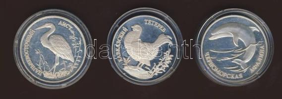 Oroszország 1995. 1R Ag (3x) 3klf motívum "Gólya, nyarfajd, delfin" T:PP