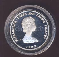 Turks & Caicos 1982. 10C Ag "Nemzetközi gyermekév" T:PP