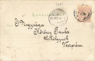 1899 Szitnya, Sitno; túrázó társaság a hegycsúcson / hikers on the mountain peak, photo (EK)