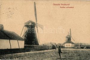 Mezőtúr, Szélmalmok, W. L. 1382.