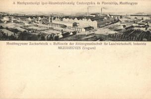 Mezőhegyes, Mezőgazdasági Ipar-Részvénytársaság Cukorgyára és finomítója / Zuckerfabrik und Raffinerie der Aktiengesellschaft für Landwirtschaftl. Industrie