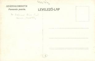 Százhalombatta, Pannónia puszta, Dr. Hámori Bíró Pál kastélya, négyes fogat, photo