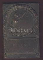 cca. 1930-as évek "FÉVBE dija" szögletes Br emlékérem T:3