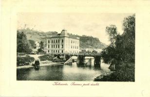 Kolozsvár, Cluj; Szamos parti részlet híddal, palota. W. L. Bp. 6385. / river bank, bridge, palace