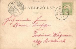 1902 Máslak, Masloc; utcakép / street view, photo (EK)