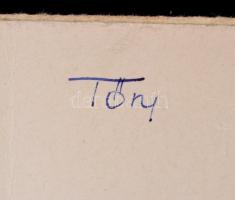 Tőry Emil: Michelangelo mennyezetképzése a római Sixtus-kápolnában. Tanulmány. Első kötet. Bp., 1912...