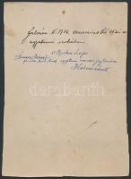 1914 dr. Farkas Lajos (1841-1921) neves jogász, akadémikus, egyetemi tanár fényképe tanári szobájába...