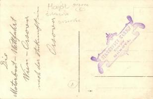 Orsova, a Bécs-Orsova motoros hajóverseny résztvevői a kikötőben, háttérben az Aldunai M. kir. hajóz...