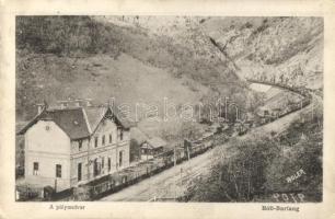 Petrozsény, Petrosani; Boli barlang-i vasútállomás vagonokkal. Adler / railway station, wagons