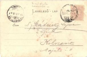 1899 Szentágota, Agnetheln, Agnita; Piac tér, Kilátó, Bőrgyár. M. Lang / Lederfabrik, Marktplatz, Au...