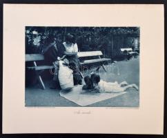 1915 Az Érdekes Újság Háborús Albuma. 12 képpel, jó állapotban Összesen 5 album