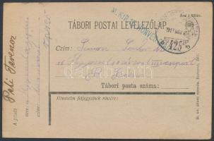 1917 Tábori posta levelezőlap &quot;M.KIR. 16. HONVÉD GYALOGEZRED&quot; + &quot;TP 425 b&quot;