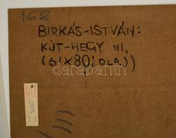 Birkás István (1947-): Kút-hegy III. Olaj, farost, jelzett, 60×80 cm