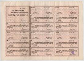 Budapest 1924. "KÉVE Mezőgazdasági Iparfejlesztési és Hitelintézet Rt." 100 részvénye egye...