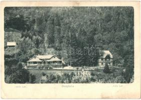 Ponyászka, Bonyáska, Poneasca (Bozovics); János és Julia lak / villas (EK)