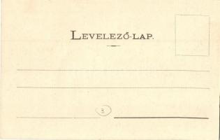 Trencsénteplic, Trencianske Teplice; Kossuth Lajos utca, Wertheim Zsigmond üzlete és saját kiadása /...