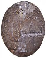 DN "Prisezna Straz" feliratú fém jelvény (35x46mm) T:2-,3 letört tű, hátoldala sérült, for...