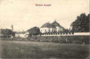Zsély, Zelovce; látkép, Zichy kastély / general view, villa, castle (EK)