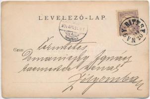 1901 Nagybiccse, Nagy-Bittse, Bytca; főurak fogadtatása a faluban / visitation of lords, photo (EB)