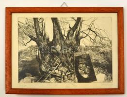 Decsi Ilona (1950-): Öreg Fa. Rézkarc, papír, jelzett, üvegezett keretben, 25×34 cm