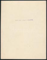 cca 1926 Hortobágyi gulya, Kerny István (1879-1963) pecséttel jelzett, vintage fotóművészeti alkotás...