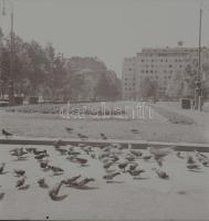 cca 1957 Budapesti városképek, Kotnyek Antal (1921-1990) fotóriporter 13 db professzionális negatív ...