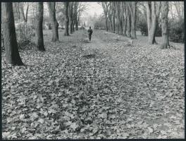 cca 1973 Múló idő, 4 db vintage fotóművészeti alkotás, kettő feliratozott, 9x18 cm és 18x24 cm közöt...