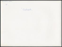 cca 1977 Kortárs fotóművészeti alkotások különböző szerzőktől, 4 db feliratozott vintage fotó, 18x24...