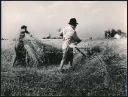 cca 1965 Dezső Pál (?-?): Tél, tavasz, nyár és ősz, 4 db vintage fotóművészeti alkotás, kettő jelzet...