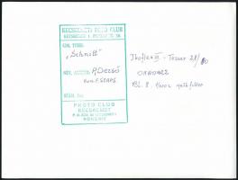 cca 1965 Dezső Pál (?-?): Tél, tavasz, nyár és ősz, 4 db vintage fotóművészeti alkotás, kettő jelzet...